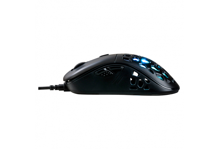 Mouse X10 Sentinel